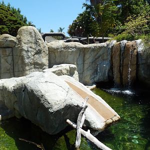 Children's Zoo - Otter Exhibit (2 Species)