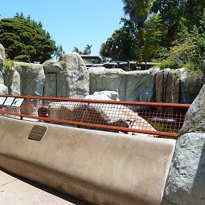 Children's Zoo - Otter Exhibit (2 Species)