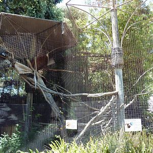 Children's Zoo - Two-Toed Sloth Exhibit