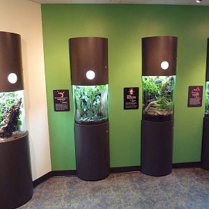 Children's Zoo - Insect House Exhibits