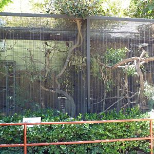 Children's Zoo - Collared Lory + Kea Aviaries