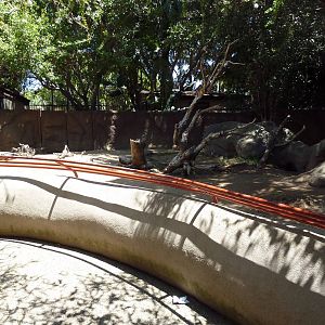 Children's Zoo - Indian Crested Porcupine Exhibit