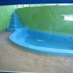 Iranian crocodile Exhibit