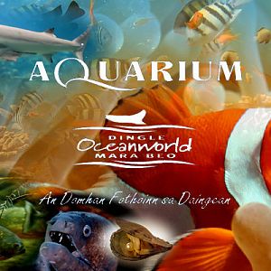 Oceanworld Advert Image