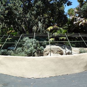 Reptile Exhibit (4 Species)