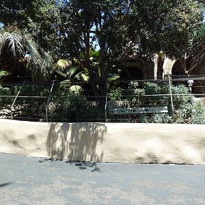 Reptile Exhibit (4 Species)