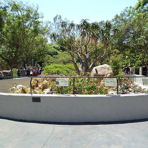 Reptile Exhibit (7 Species)