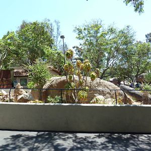 Reptile Exhibit (7 Species)