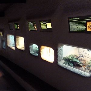 Reptile Terrariums