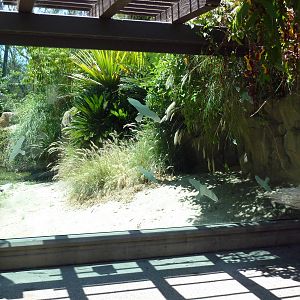 Gharial/Turtle Exhibit (7 Species)