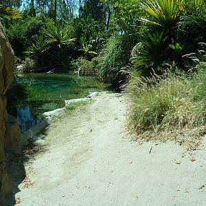 Gharial/Turtle Exhibit (7 Species)