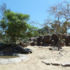 Galapagos Tortoise Exhibit