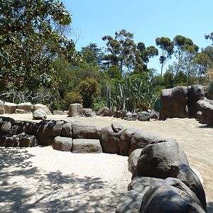 Galapagos Tortoise Exhibit