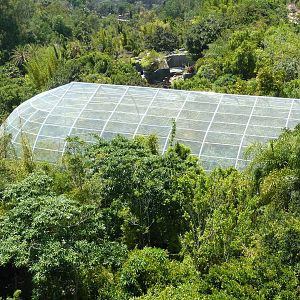 Skyfari Ride - Scripps Aviary