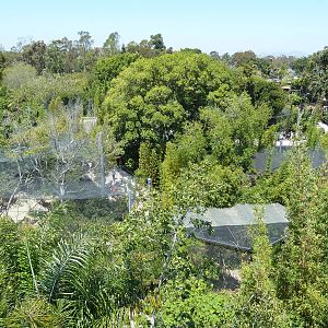 Skyfari Ride - Monkey Trails + Forest Tales Area