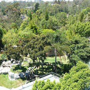 Skyfari Ride - Gorilla Exhibit