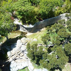 Skyfari Ride - Gorilla Exhibit