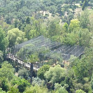 Skyfari Ride - Birds Of Prey Aviaries