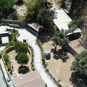 Skyfari Ride - Panda Trek