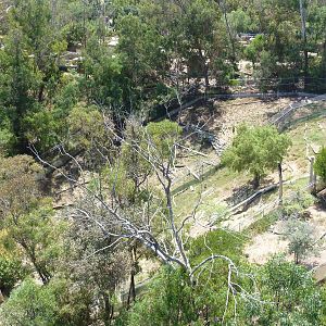 Skyfari Ride - Off-Exhibit Hoofstock Enclosures