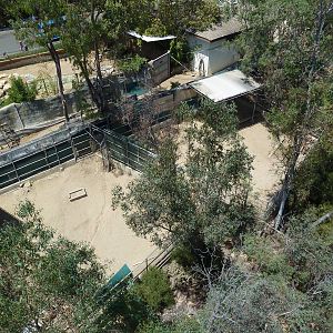 Skyfari Ride - Off-Exhibit Hoofstock Enclosures