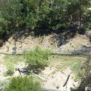 Skyfari Ride - Off-Exhibit Hoofstock Enclosures