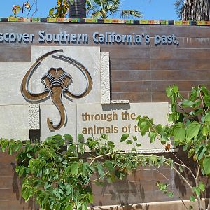 Elephant Odyssey - Entrance/Exit Sign