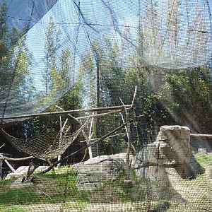 Empty Primate Enclosure (Off-Exhibit)