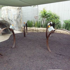 Elephant Odyssey - Elephant Radio Collars