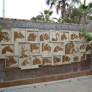 Elephant Odyssey - Sign