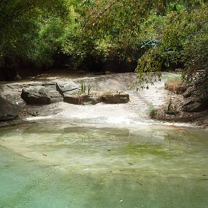 Red-Crowned Crane Exhibit