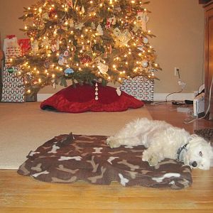 Merry Christmas To All, And To All A Good Night