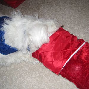 Herman vs The Christmas Stocking (Part 2)