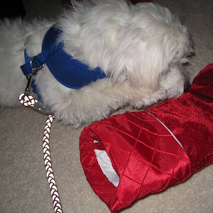 Herman vs The Christmas Stocking (Part 3)