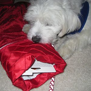 Herman vs The Christmas Stocking (Part 4)