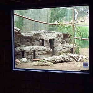 Burrowing Owl/Desert Tortoise Exhibit