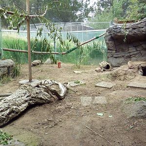 Burrowing Owl/Desert Tortoise Exhibit