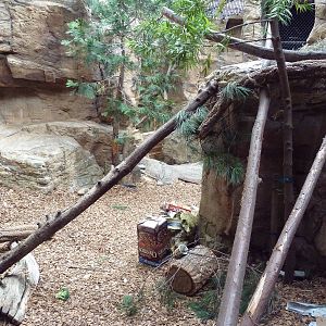 Channel Island Fox/Porcupine Exhibit
