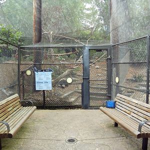 A Trio Of Cages (4 Species)