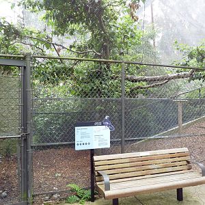 Golden Eagle Exhibit