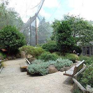 Walk-Through Aviary