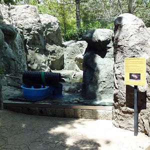 River Otter Exhibit