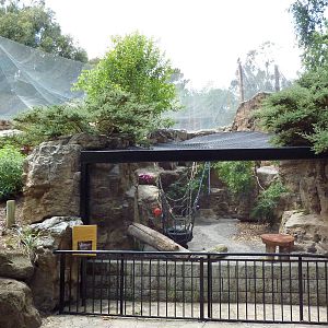 Bobcat Exhibit