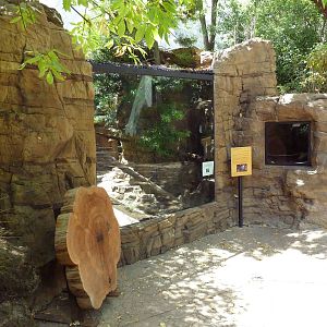 Channel Island Fox/Porcupine Exhibit