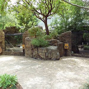 Channel Island Fox/Porcupine + Badger Exhibits