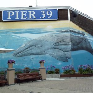 Pier 39 Mural