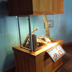 Touch The Bay - California Kingsnake Exhibit