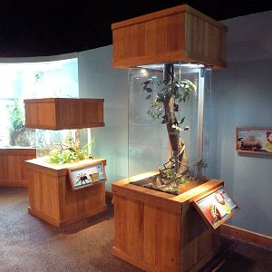 Touch The Bay Exhibits (2 Species)