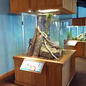 Touch The Bay - Chinchilla Exhibit