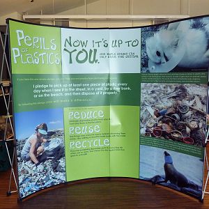 Perils Of Plastic (Temporary Exhibit)